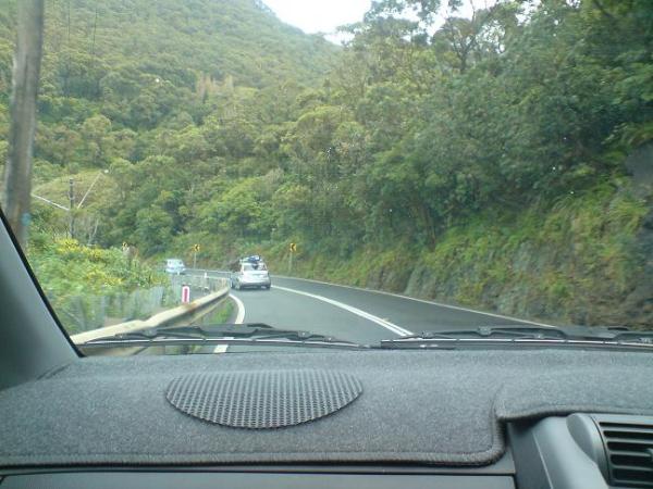 On the way to Wollongong