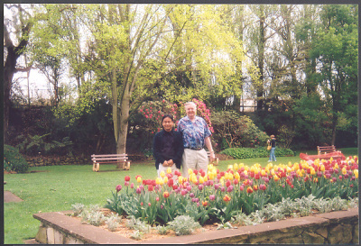 Tulip Garden at Moss Valle